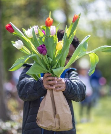 Enfant tenant un bouquet de tulipes dans les mains